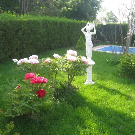 Saltanat 41 Affittacamere