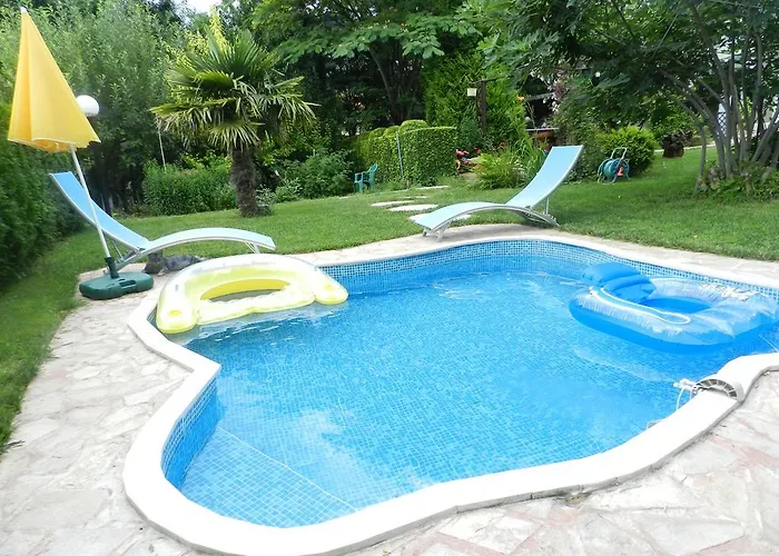 Saltanat 41 Варна