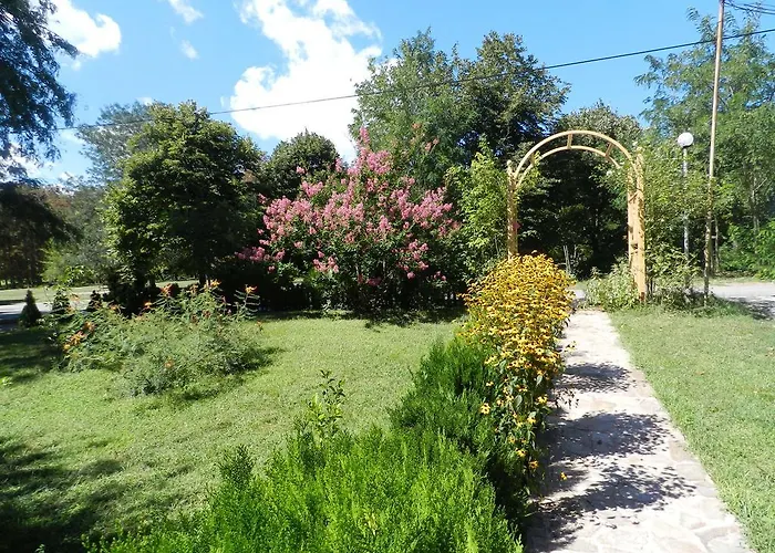 Saltanat 41 Pensiune