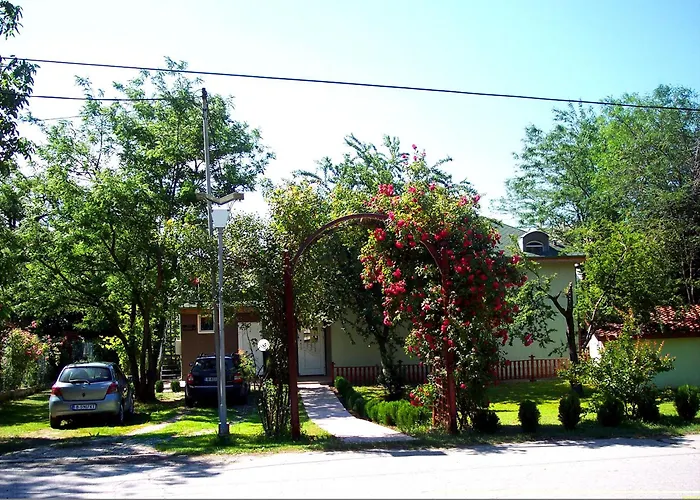 Saltanat 41 Варна