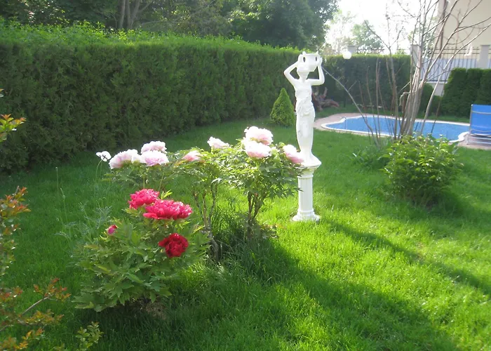 Saltanat 41 Pensiune