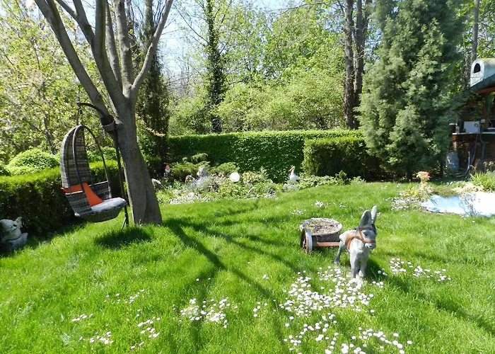 Saltanat 41 Pensiune 2*