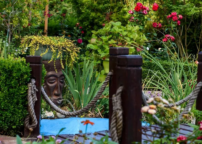 Saltanat 41 Варна