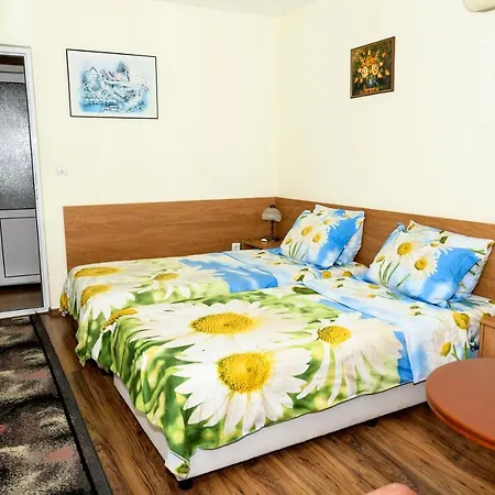 Saltanat 41 Guest house 2*